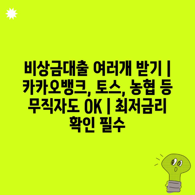 비상금대출 여러개 받기 | 카카오뱅크, 토스, 농협 등 무직자도 OK | 최저금리 확인 필수