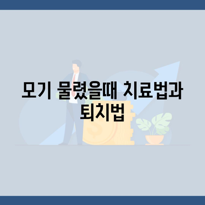 모기 물렸을때 치료법과 퇴치법