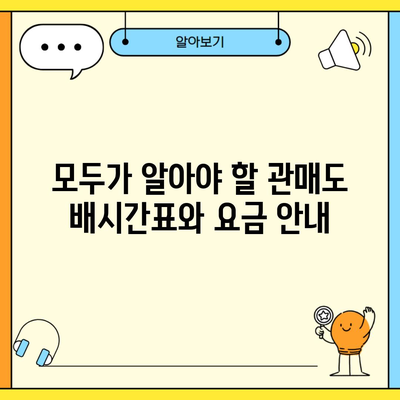 모두가 알아야 할 관매도 배시간표와 요금 안내