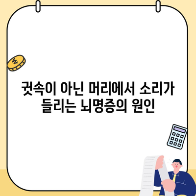 귓속이 아닌 머리에서 소리가 들리는 뇌명증의 원인
