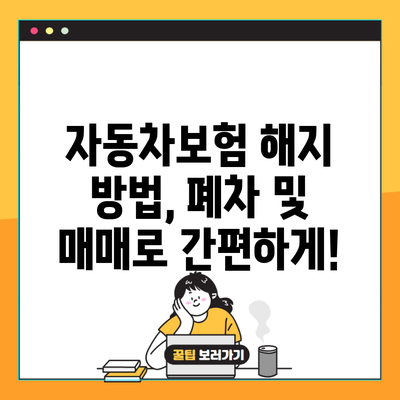 자동차보험 해지 방법, 폐차 및 매매로 간편하게!