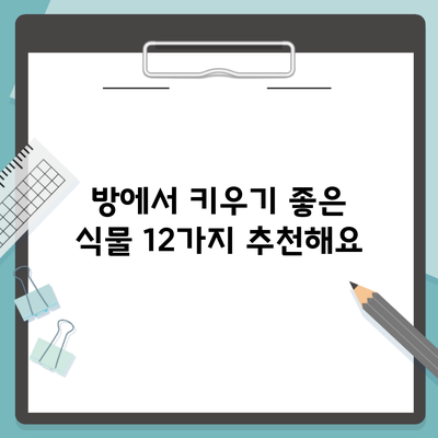 방에서 키우기 좋은 식물 12가지 추천해요