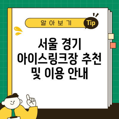 서울 경기 아이스링크장 추천 및 이용 안내