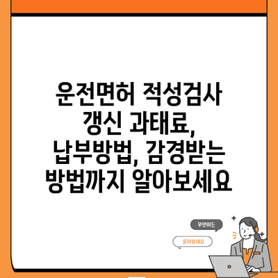 운전면허 적성검사 갱신 과태료, 납부방법, 감경받는 방법까지 알아보세요