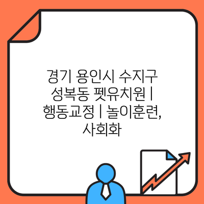 경기 용인시 수지구 성복동 펫유치원 | 행동교정 | 놀이훈련, 사회화