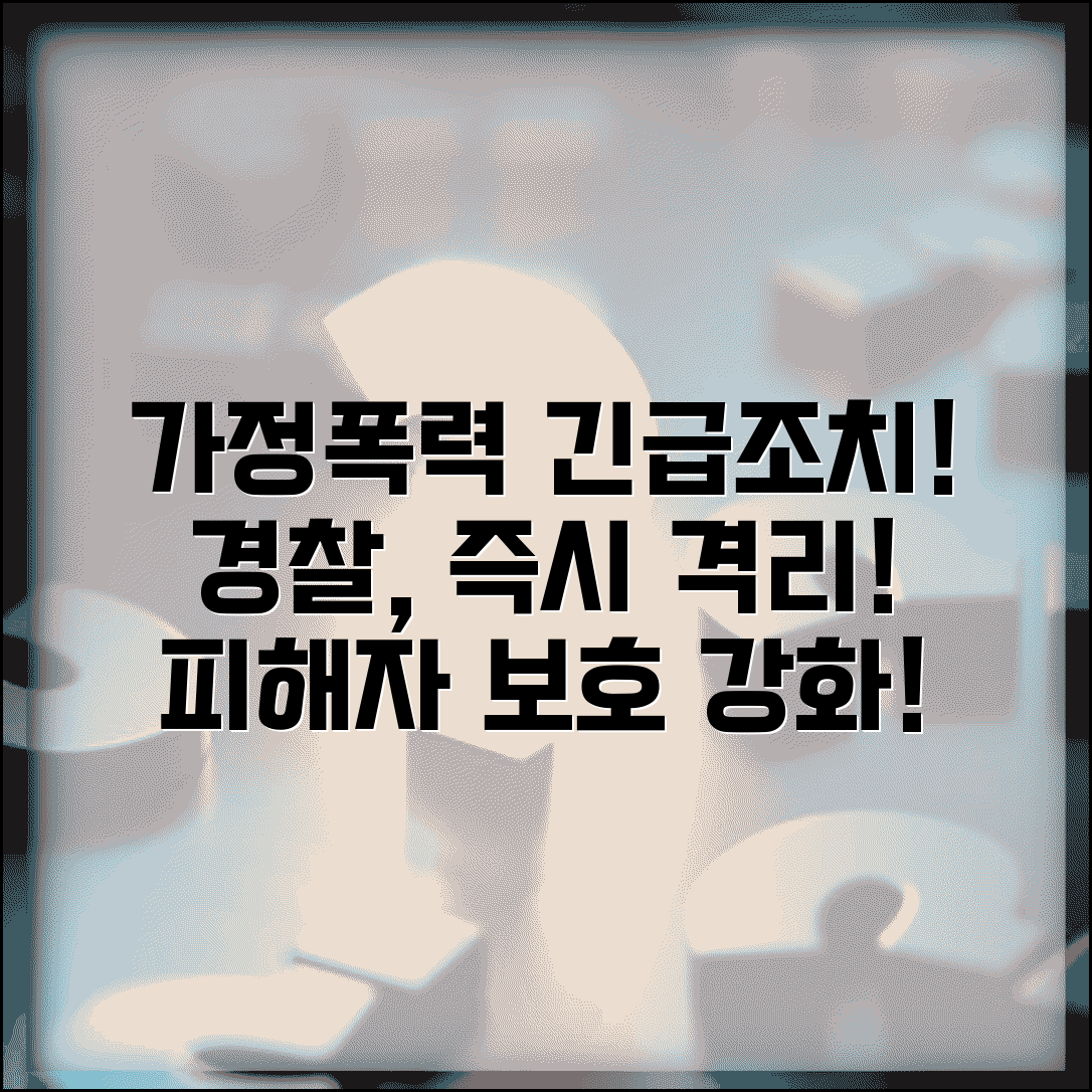 가정폭력 긴급임시조치 발령 | 경찰의 현장 응급보호 | 가해자 격리 조치 | 피해자 안전 확보