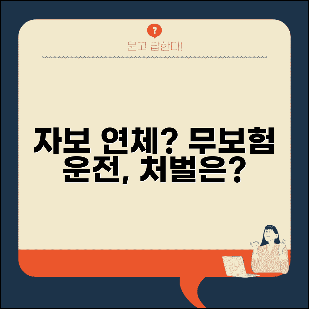 자동차보험 연체 무보험 되나 | 자보 연체시 보험 해지와 무보험 운행 처벌