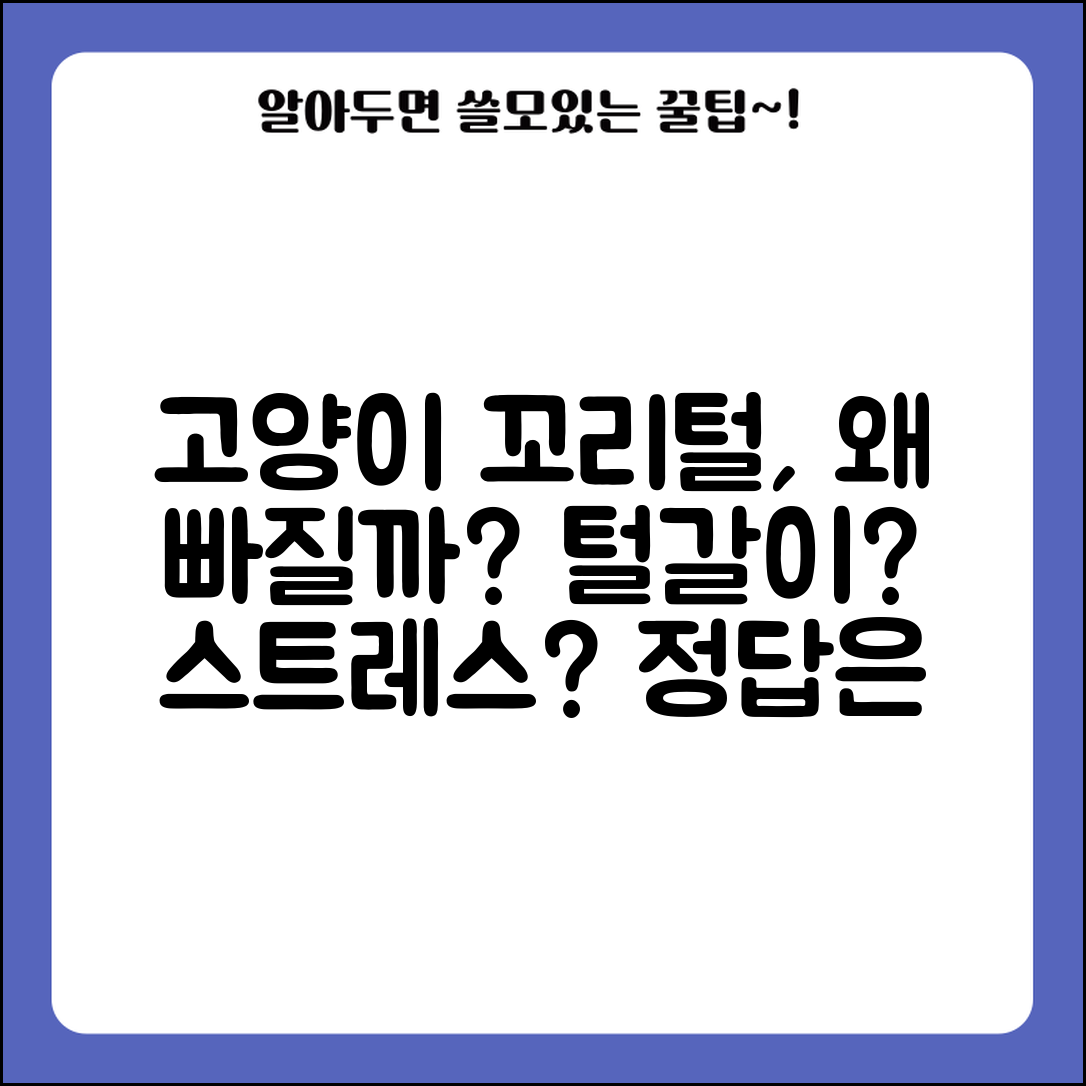 고양이 꼬리 털 빠지는게 정상인가요 | 고양이 꼬리털 | 털갈이 | 스트레스
