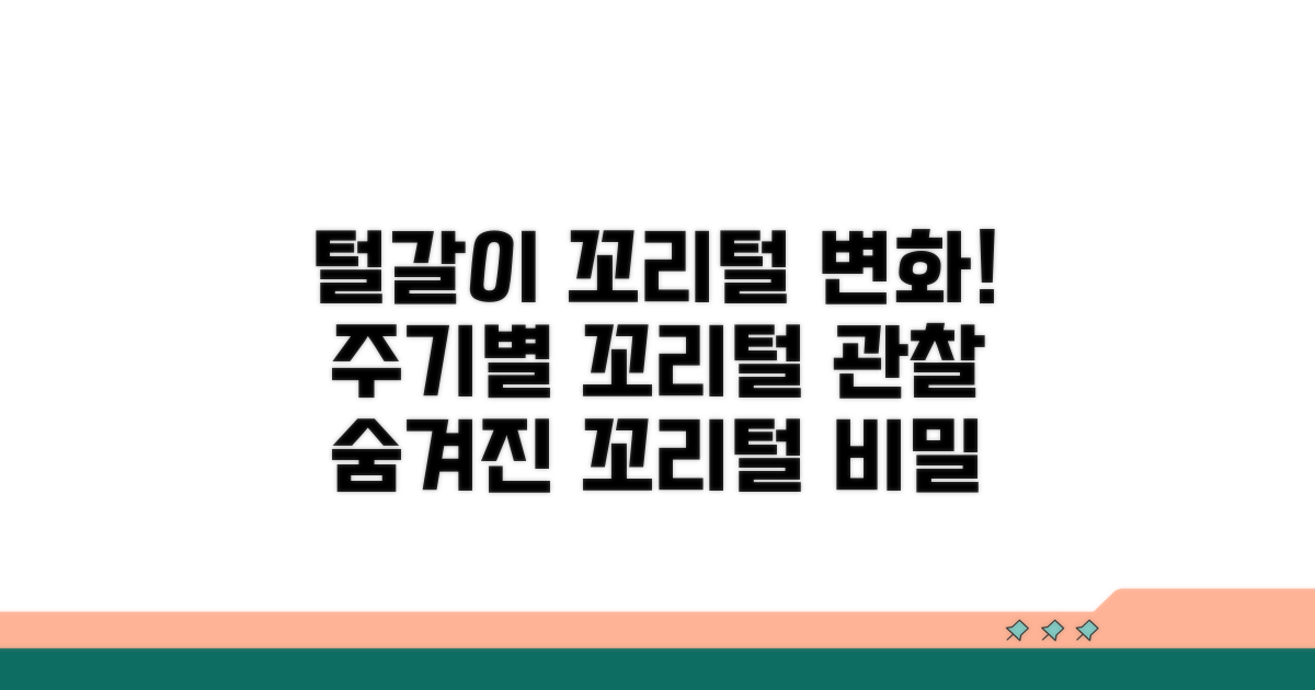 털갈이 시기별 꼬리털 변화