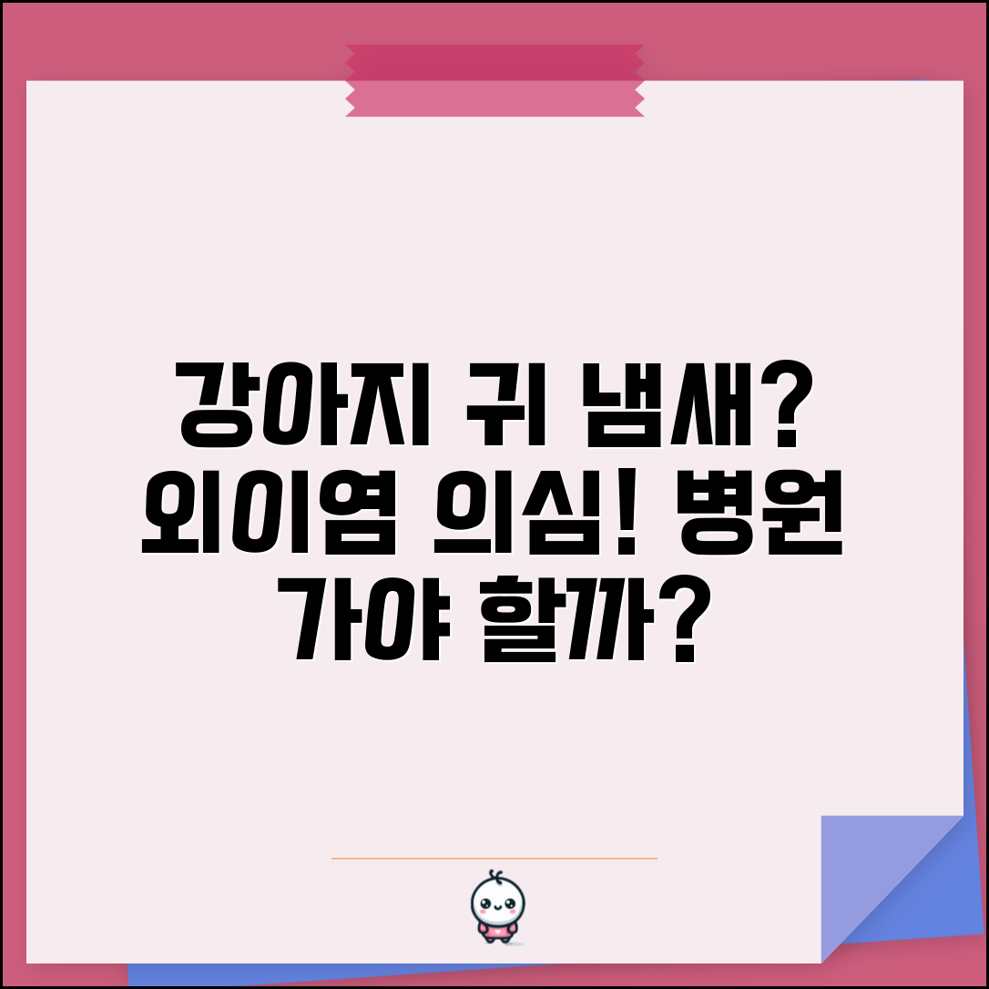 강아지 귀 냄새 심한데 병원 가야 하나요 | 강아지 귀냄새 | 외이염 | 감염