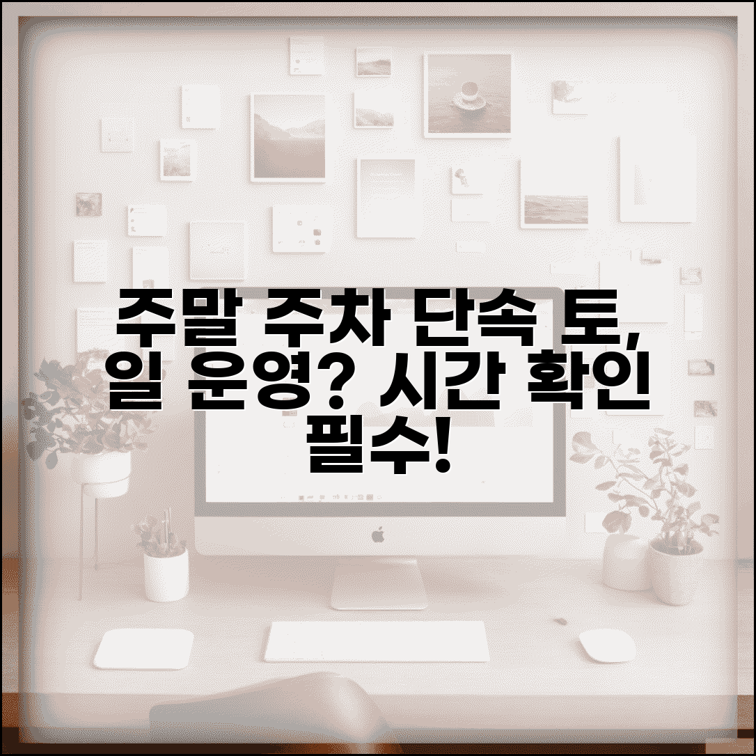 주말 주차단속 시간 공영주차장 | 토요일 일요일 주차단속 운영 여부와 시간 조정