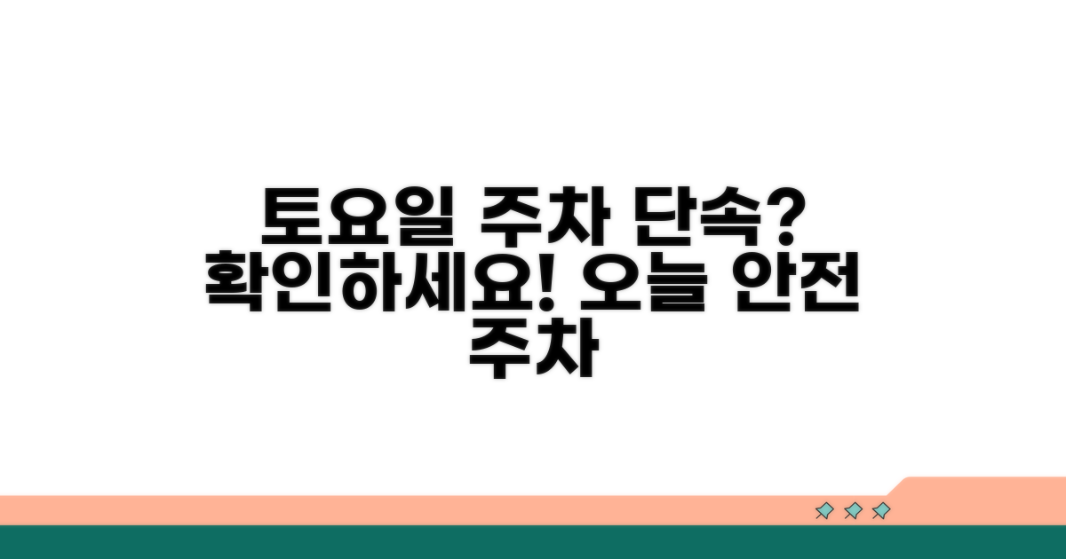 토요일 공영주차장 단속 여부 체크