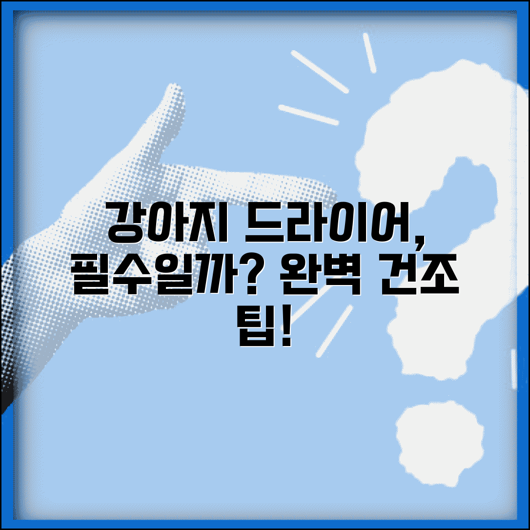 강아지 목욕 후 드라이어 꼭 써야 하나요 | 강아지 목욕 | 드라이어 | 건조
