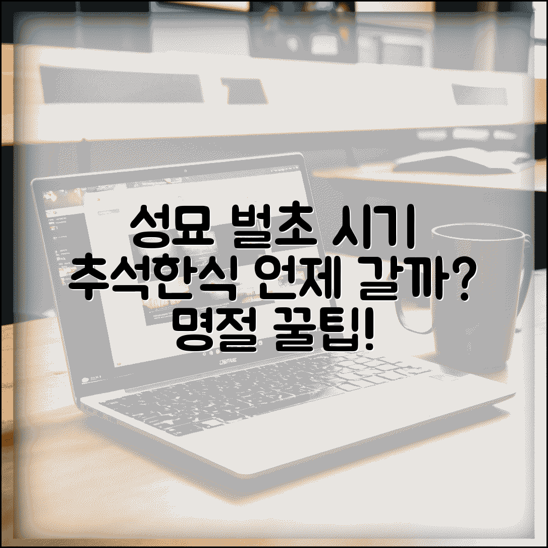 성묘 가는 시기 언제 가나 추석 한식 | 성묘 시기 명절 벌초 기간