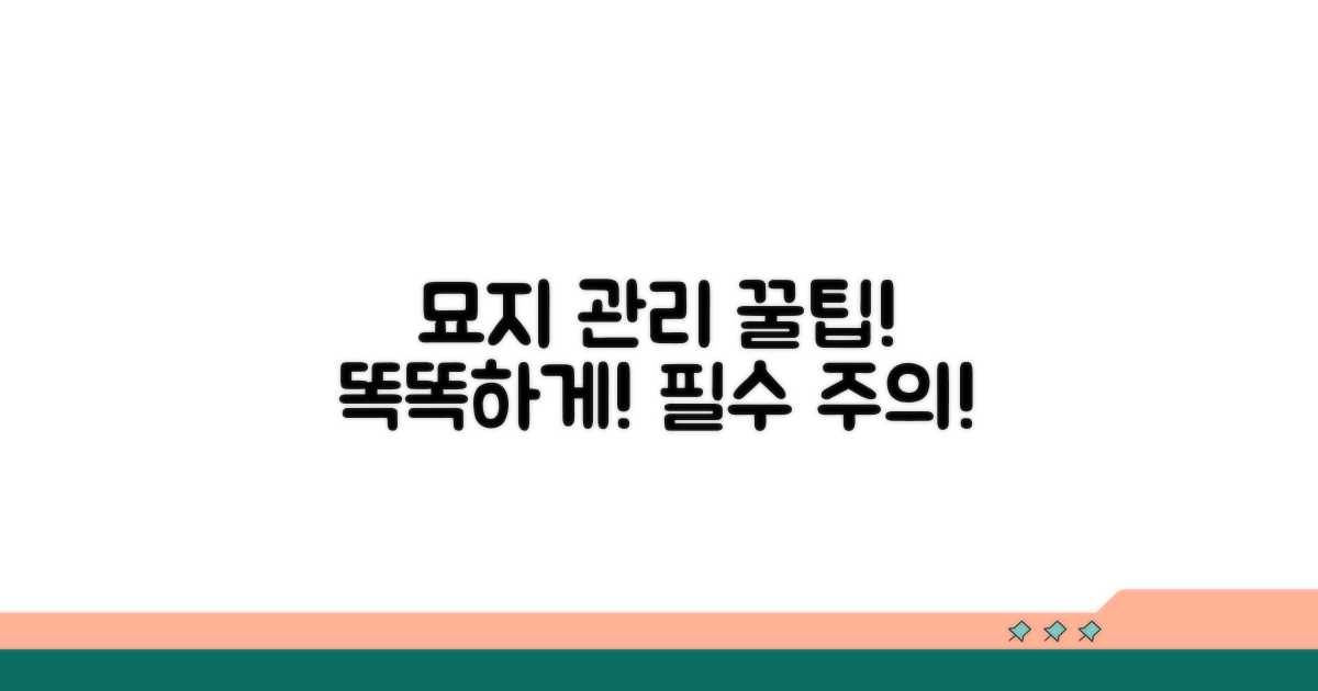 묘지 관리 꿀팁과 주의사항