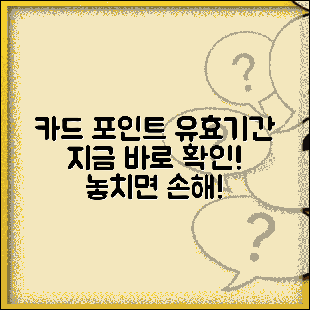 신용카드 포인트 이용기간 | 카드 포인트 유효기간 완벽정리