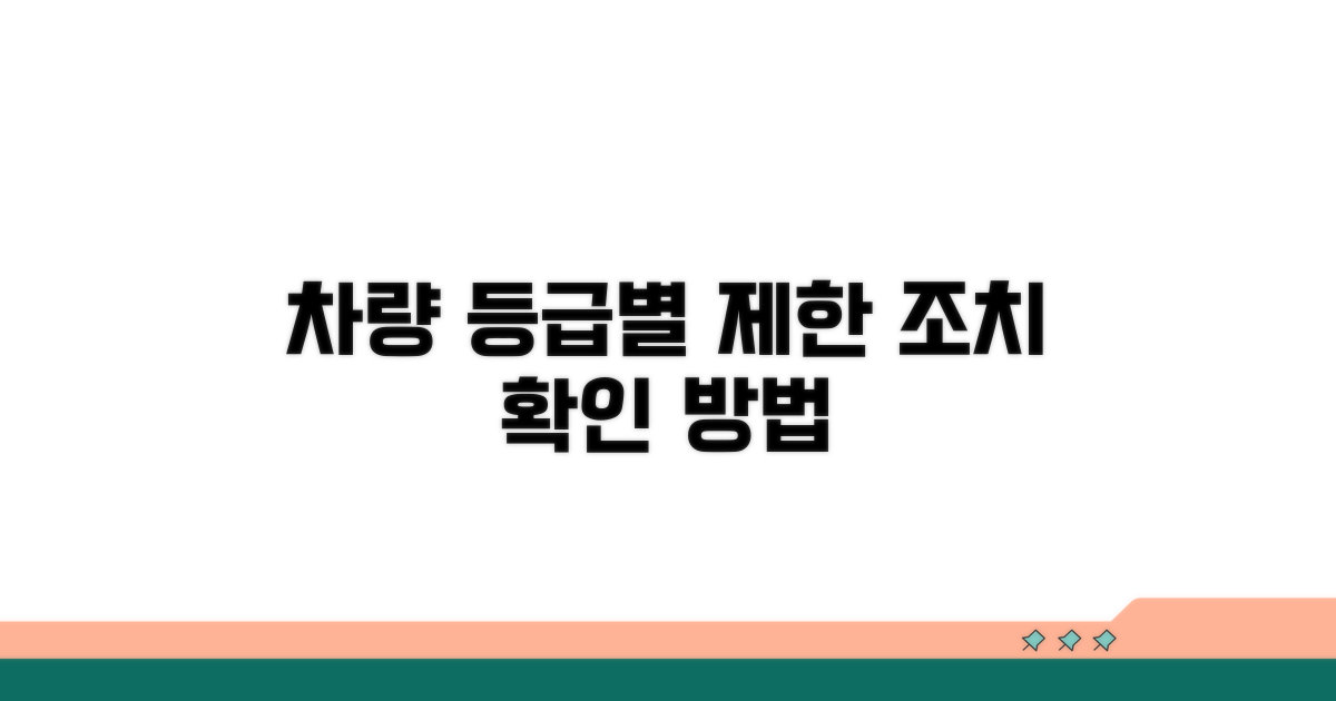 차량 등급별 제한 조치 확인 방법