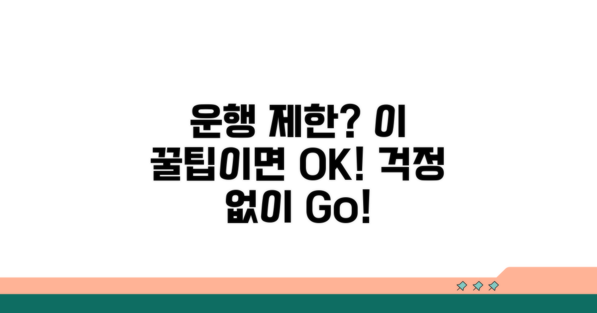 운행 제한 피해가는 꿀팁