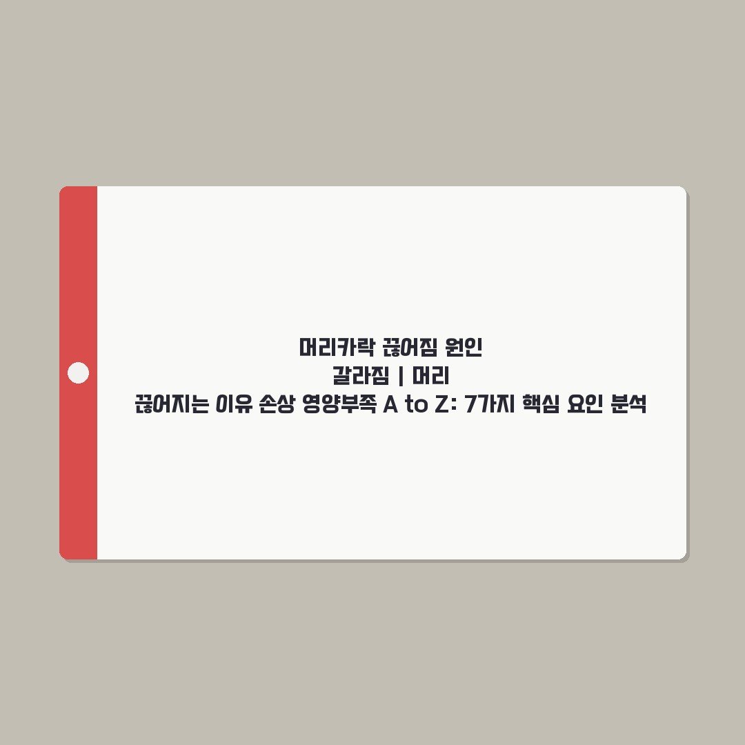 머리카락 끊어짐 원인 갈라짐 | 머리 끊어지는 이유 손상 영양부족 A to Z: 7가지 핵심 요인 분석