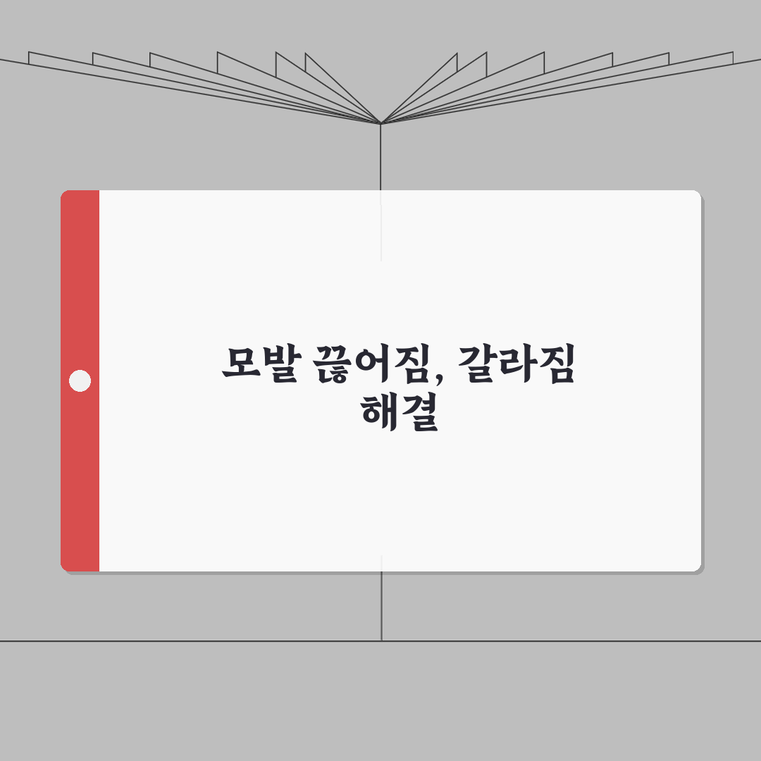머리카락 끊어짐 원인 갈라짐 | 머리 끊어지는 이유 손상 영양부족 A to Z: 7가지 핵
