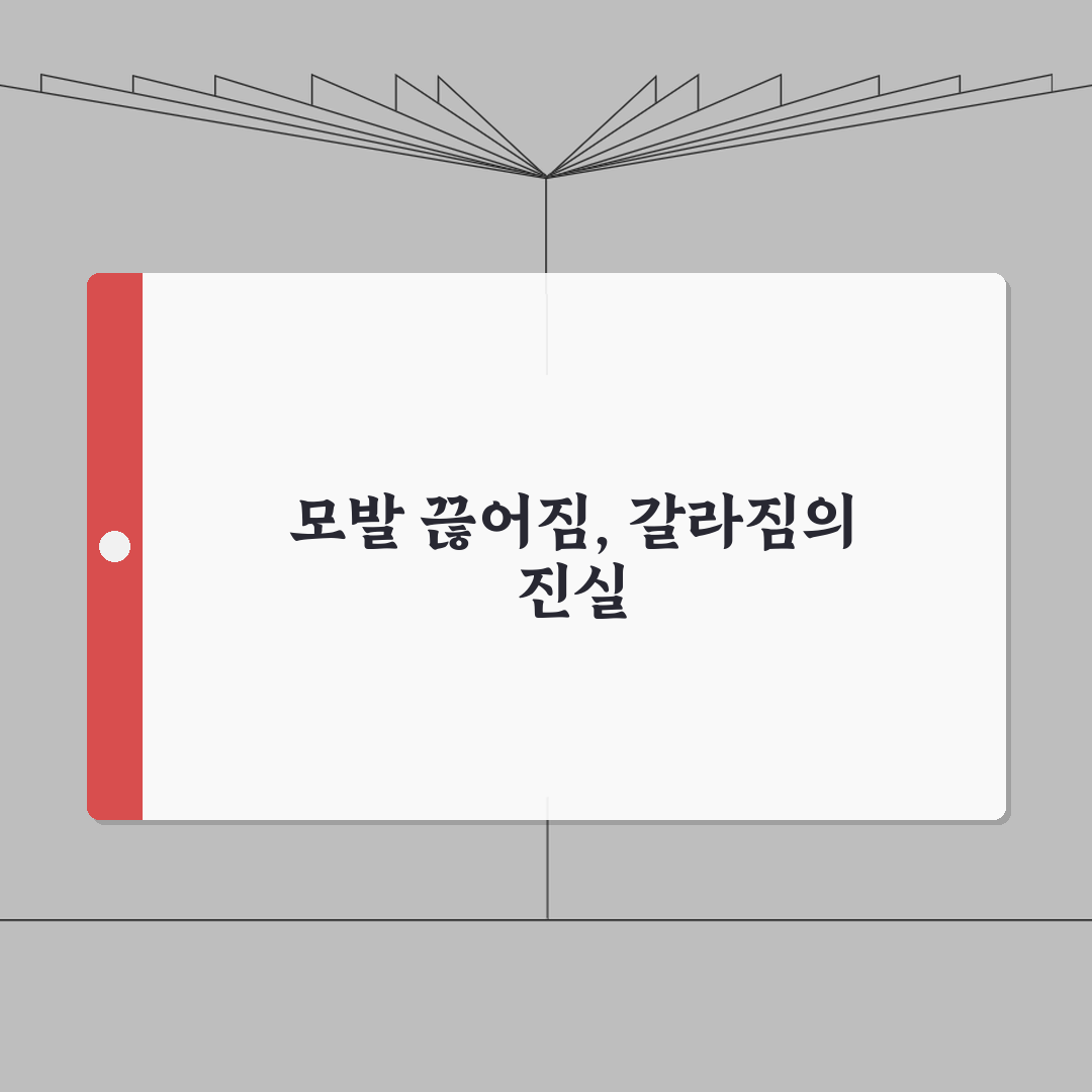 머리카락 끊어짐 원인 갈라짐 | 머리 끊어지는 이유 손상 영양부족 A to Z: 7가지 핵